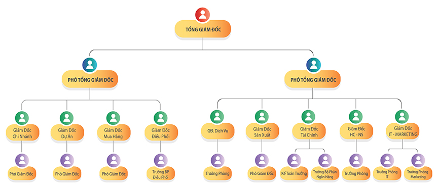 Sơ đồ tổ chức ô tô miền nam