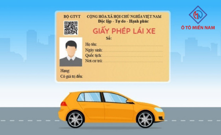 Chính phủ đồng ý giấy phép lái xe có 12 điểm/năm, vi phạm bị trừ hết điểm phải thi lại